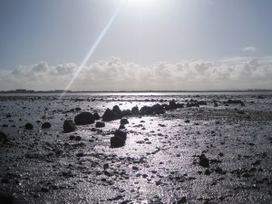 Line of stones at Mawbray
