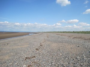 Three levels of the tide