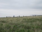 'Big Beach Clean-up Day', April 2014