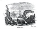 Barricane Bay; an engraving by Gosse from his book 'A naturalist's rambles on the Devonshire coast'.