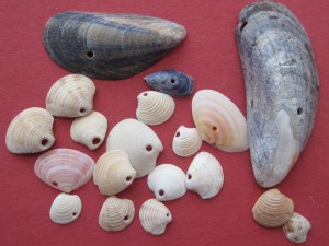 Drilled shells
