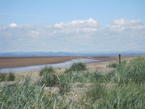 Fore-dunes with the 'Tommy-Legs' light in the distance