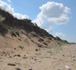 Sand-martins and their nest-holes