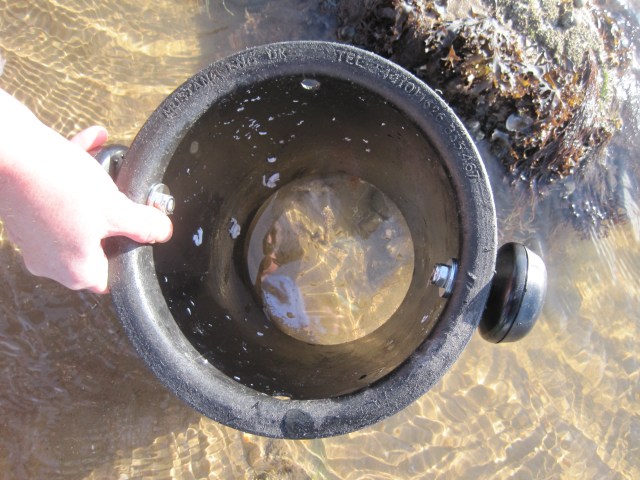 From Bucket to Bathyscope: looking at Lanice's tube-dwelling