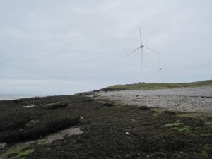 Slag: weed-covered reefs, pavements and cliffs