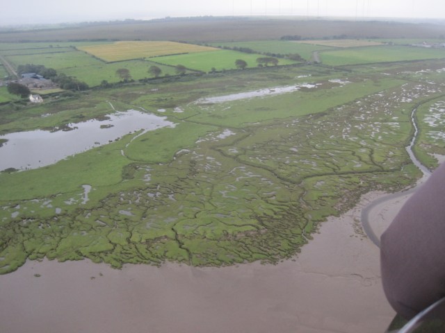 Saltmarsh at Campfield and Cardurnock