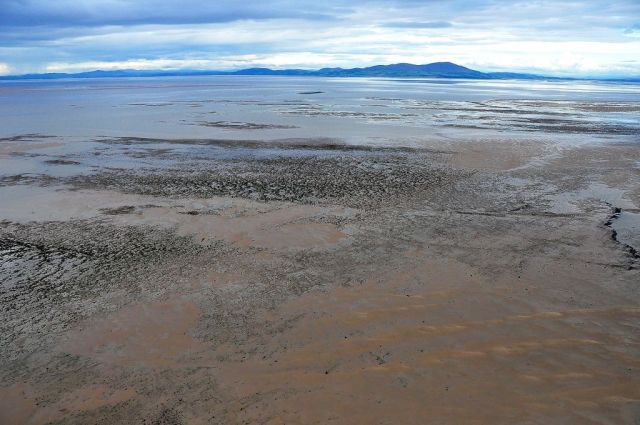 Looking N to Criffel; Dubmill Scar, the posts of the oyster lines; outer Ellison's scar and sandbanks in the distance (photo: Andrew Lysser)