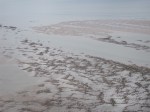 The Sabellaria reefs trap the tide. (photo: Ann Lingard)
