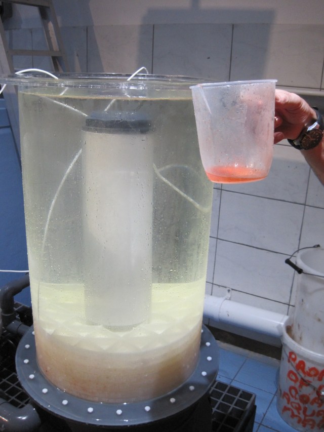 Paul feeding the hive with the Calanus 'soup'