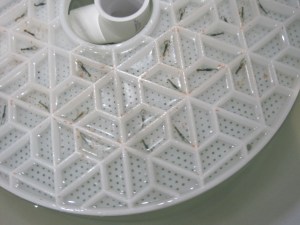 Stage 4 larvae in a hive tray