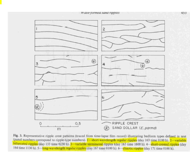 ripple patterns boyd et al 1988