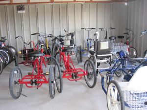 watchtree bikes2 rsz