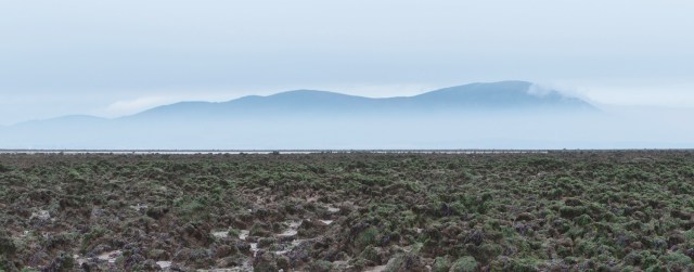 2011_09_01 074 Allonby criffel sab