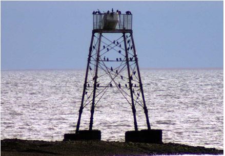 lees-scar-today-puxley