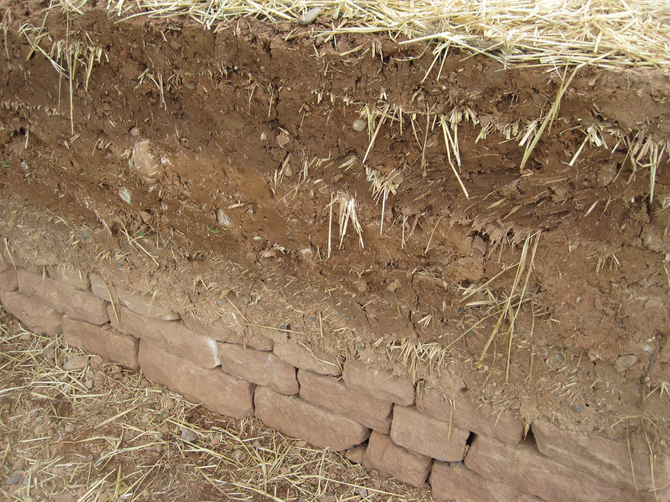 dabbins3 campfield may16