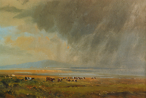 007 summer shower cattle John R flickr