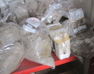 dried mud samples