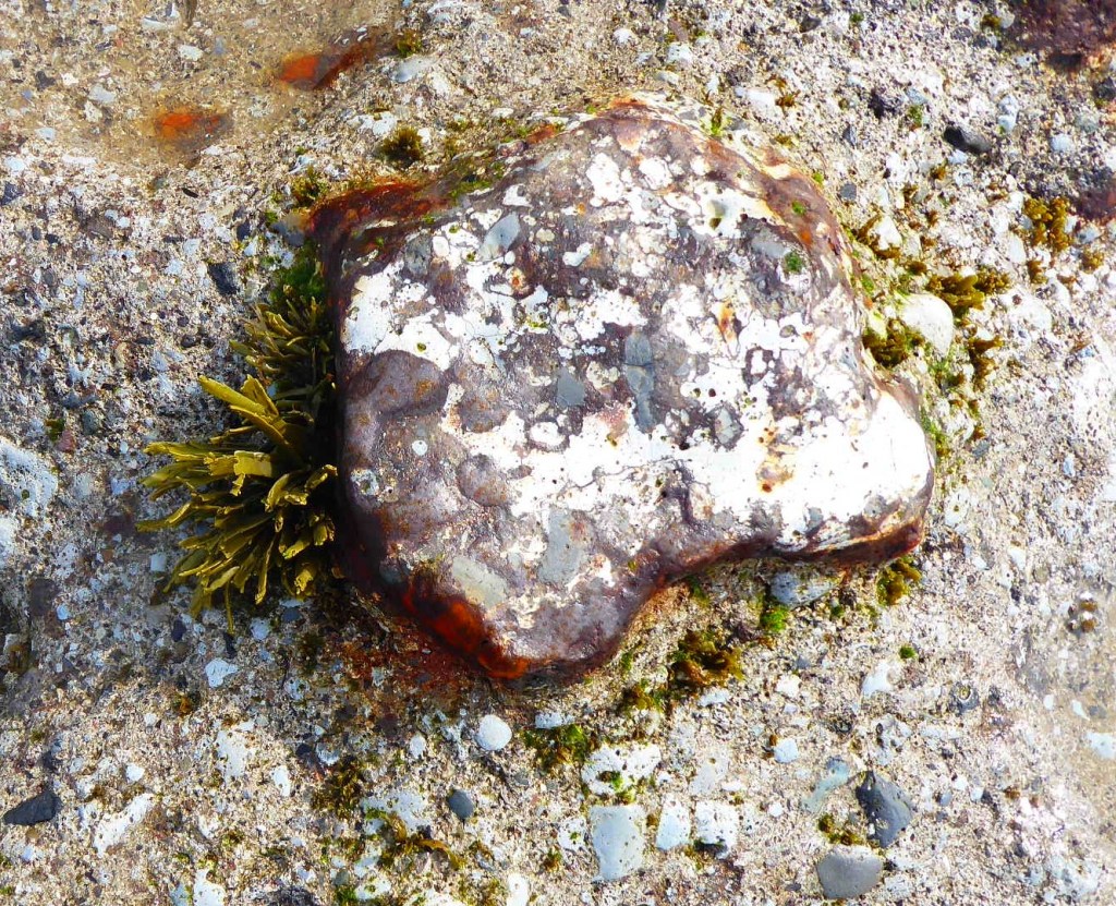 Wrack gains a foothold