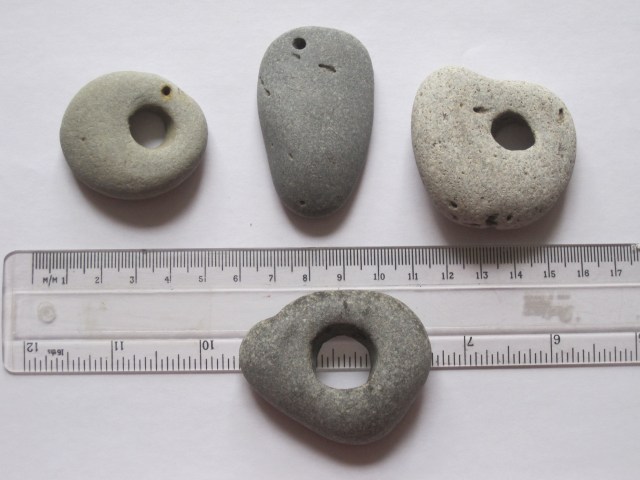 Weights with possible piddocked holes