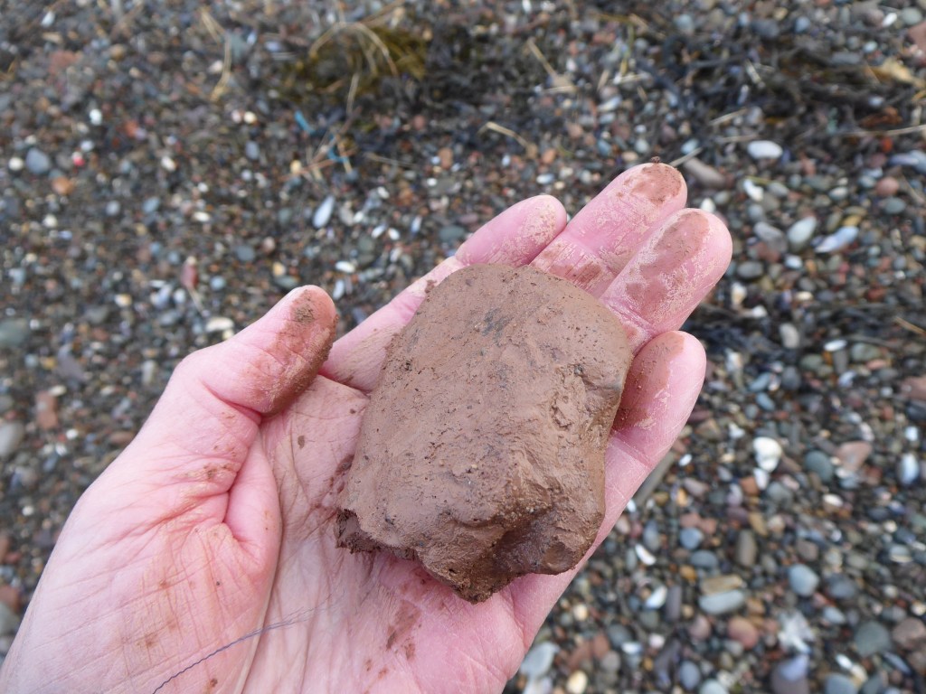 Red clay, Beckfoot November 2020
