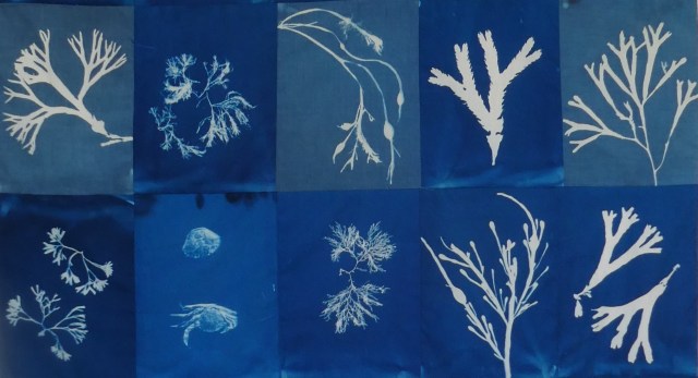 Pools panel