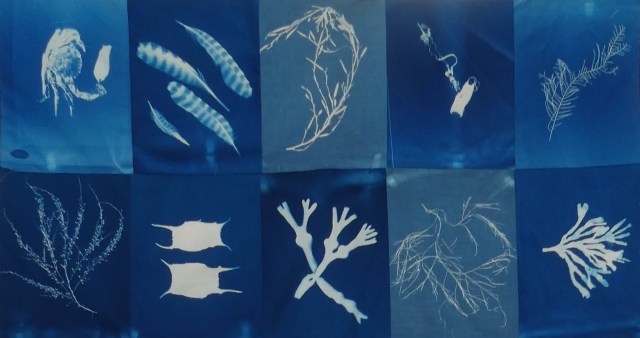 Tidelines panel
