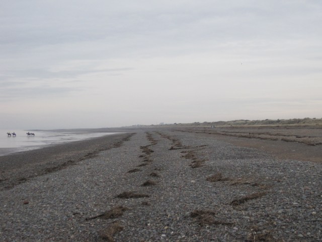 Tidelines